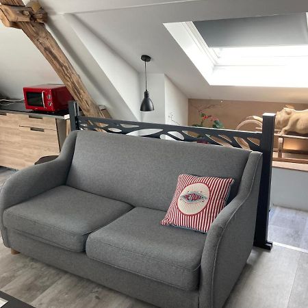 Au Cochon Qui Rit Apartment Flines-Les-Mortagne Екстериор снимка
