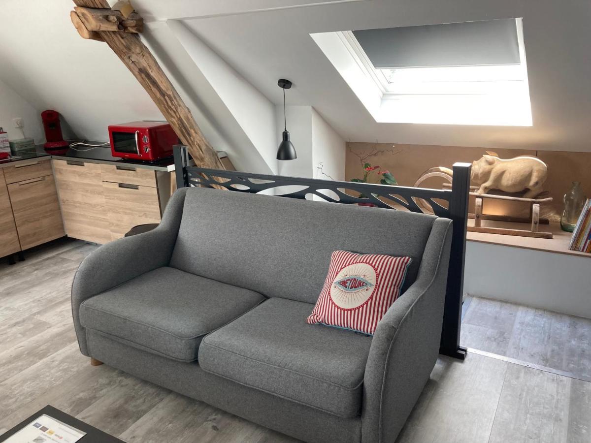Au Cochon Qui Rit Apartment Flines-Les-Mortagne Екстериор снимка